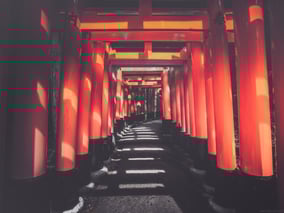 80EE2CC1-C030-4193-A5A5-6FBD8E3BE56B