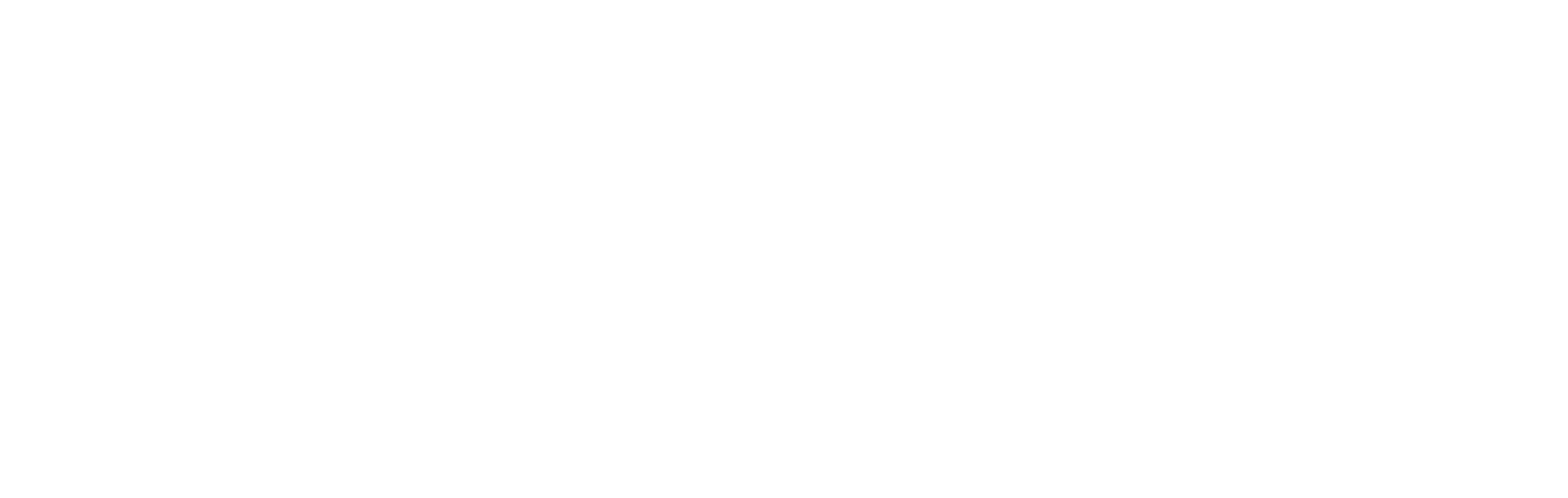 CC_Academy_logo_white.png (updated version)-4