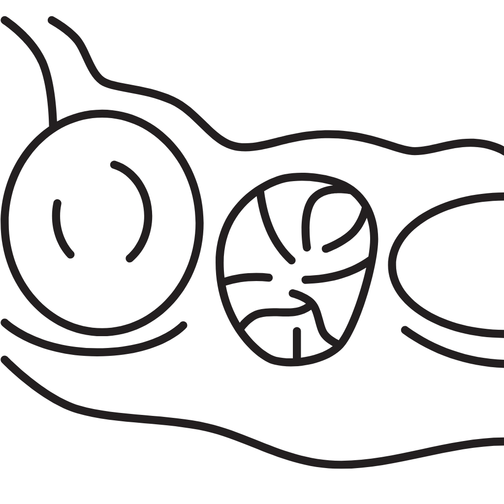 Course Page Icons (2)-1