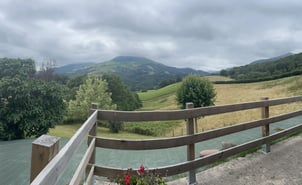 Image from iOS (11)