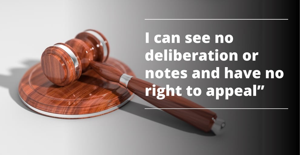 Adescriptionofmycase V2-06.jpg