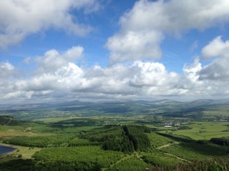Feed Station View