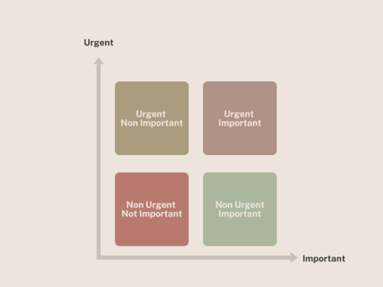 Matrix Diagram PMP Infographic Graph