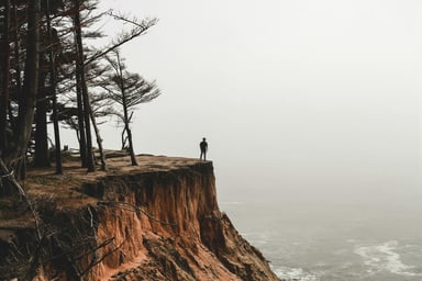 alan-tang-ZriVXRZbFqk-unsplash