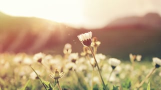 alexandru-tudorache-JdjdIjzJl94-unsplash