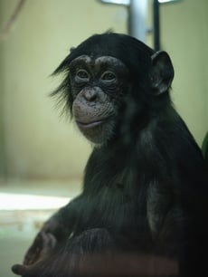 andrius-ordojan-ldWDDfYyQfY-unsplash