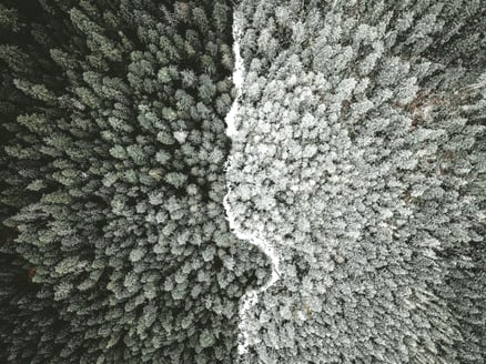 anthony-intraversato-YG5l5XIZ76w-unsplash