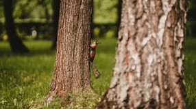 arseny-togulev-zcsIw1OvjAk-unsplash
