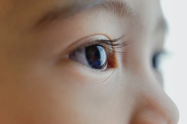 bady-abbas-KiIkhpnWf7I-unsplash