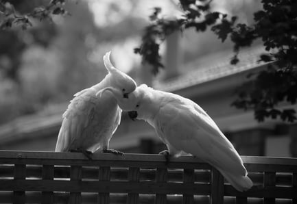 bruce-comber-fYrAvX9EI-8-unsplash