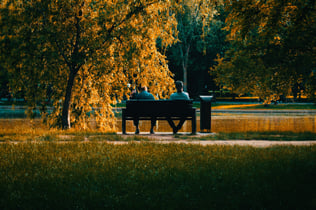 dan-v-wheECAe3rT8-unsplash