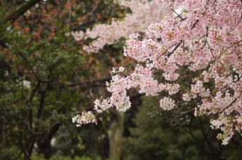 don-kawahigashi-0-0nQxBHJ84-unsplash