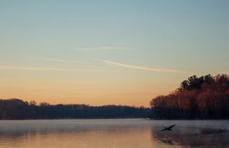 elijah-hail-R50dUyBdQl0-unsplash