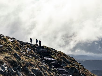 francois-olwage-X_RxDiKDSuU-unsplash