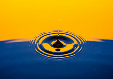 izzy-gibson-sFrkWv4ACJg-unsplash