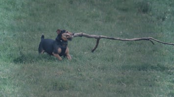 k-mitch-hodge-gCtRlwj5ooU-unsplash
