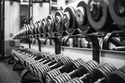 luis-reyes-mTorQ9gFfOg-unsplash