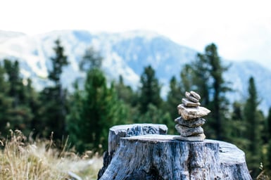 markus-spiske-qCIpK4RQu60-unsplash