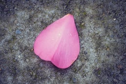 meina-yin-hkHcMvtsyoo-unsplash