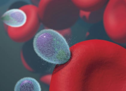 national-institute-of-allergy-and-infectious-diseases-Ykv2gm43QFc-unsplash