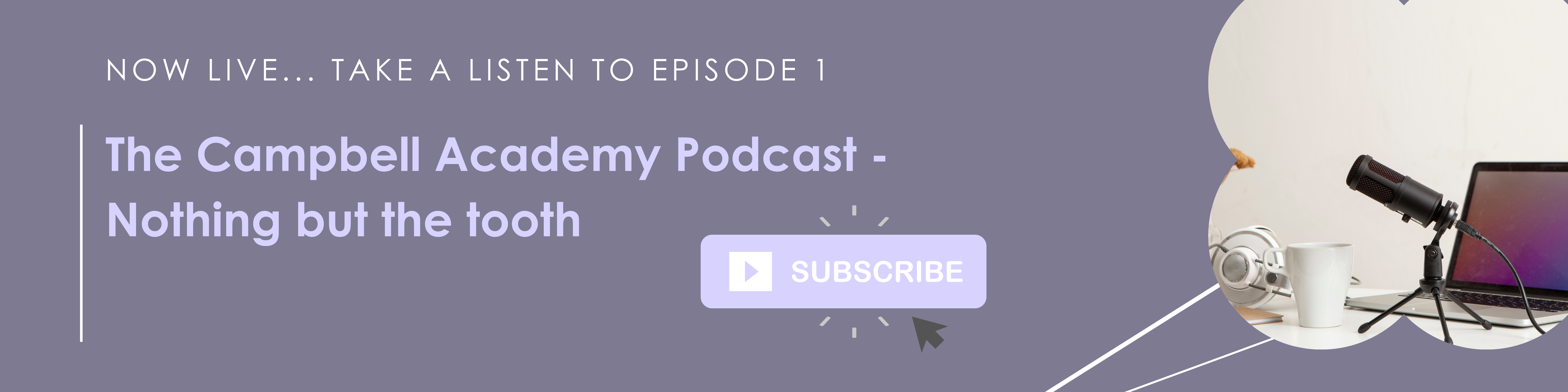 podcast banner -2