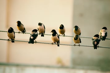 ridham-nagralawala-kuJkUTxR0z4-unsplash