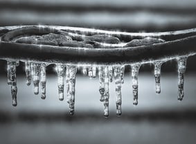 robert-zunikoff-LTtgPUZ-cTo-unsplash