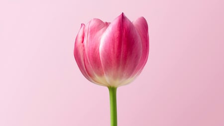 roonz-nl-ATgfRqpFfFI-unsplash