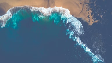 sean-NQL7uXV2MOE-unsplash