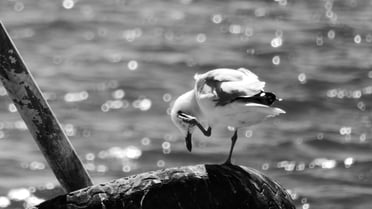 steffen-junginger-xHAmeVJ-E34-unsplash