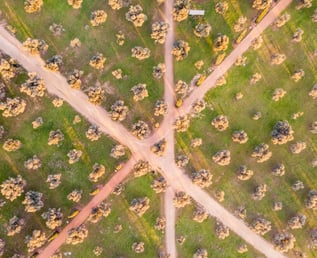 victor-0Ezh0PRhtPo-unsplash