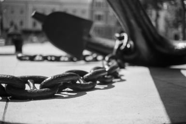 vito-drolec-Hlosy9Nid1M-unsplash