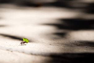 vlad-tchompalov-dQkXoqQLn40-unsplash