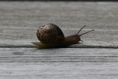 wouter-de-praetere-JY8k7Vy98_w-unsplash