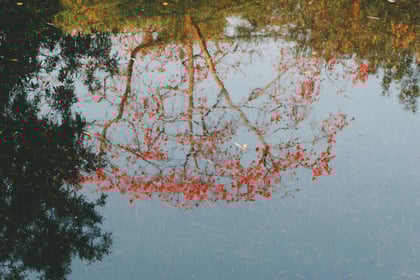 yingying-li--9K-PZFqrsg-unsplash